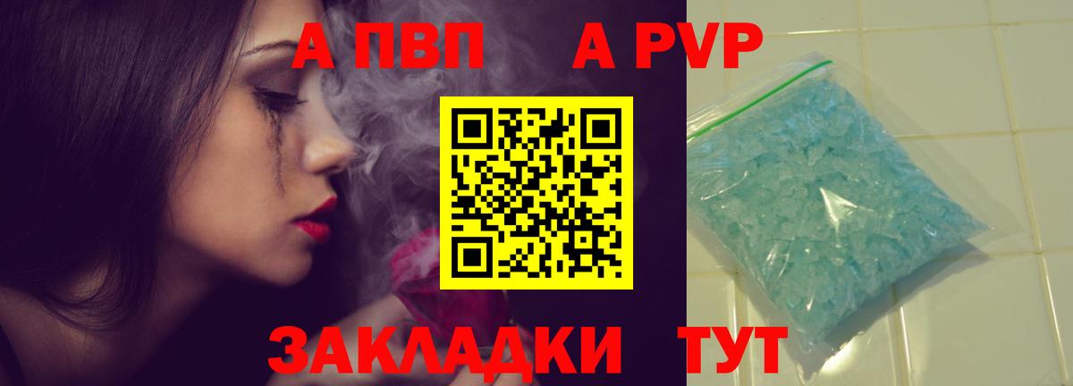 Альфа ПВП СК Балтийск