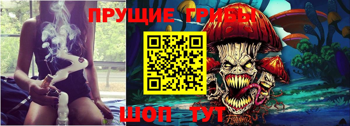 Галлюциногенные грибы мицелий Балтийск